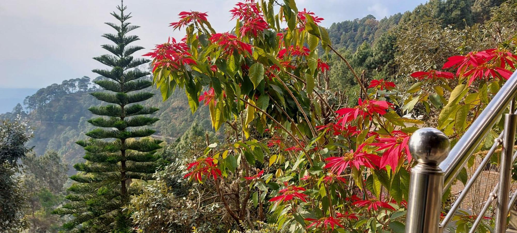 兰斯当蓝松度假村 兰斯顿 外观 照片